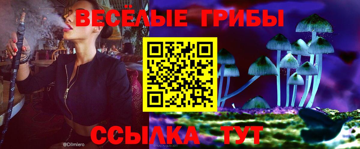 что такое наркотик  Вход с VPN  Баксан  Псилоцибиновые грибы Psilocybine cubensis 